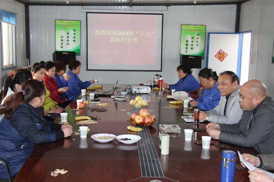 華能電力工程部項目部組織召開(kāi)女工座談會(huì )