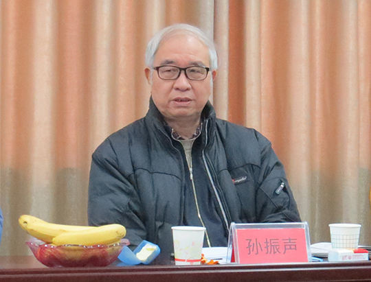 孫振聲會(huì )長(cháng)作總結點(diǎn)評