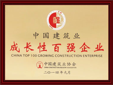 成長(cháng)性百強企業(yè)