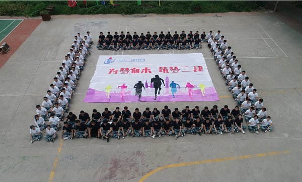手繪納斯卡主題巨幅畫(huà)鳥(niǎo)瞰.png