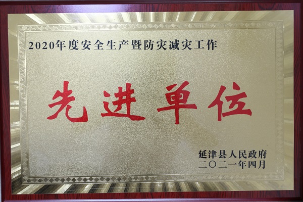 2020年度延津縣“安全生產(chǎn)先進(jìn)單位”獎牌.jpg