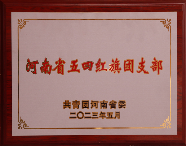 河南省五四紅旗團支部榮譽(yù)獎牌.png
